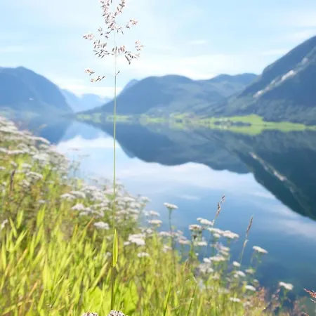 Апартаменты Sunnfjord In Jolster Ardal (Sogn og Fjordane)